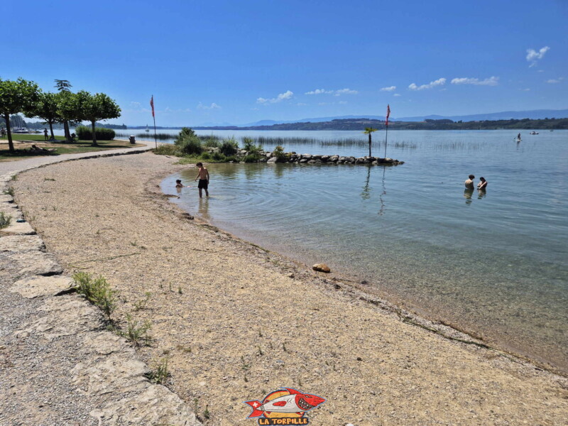 plage de la Bisse Noire. Surfcenter, Morat, lac de Morat. Bise Noire – Surfing Watersports - Shop am Murtensee.