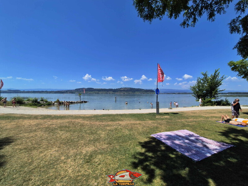 plage de la Bisse Noire. Surfcenter, Morat, lac de Morat. Bise Noire – Surfing Watersports - Shop am Murtensee.