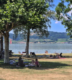 🌊 Surfcenter La Bise Noire – Morat