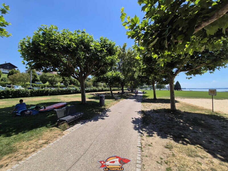 La grande zone de pelouse de la place de loisirs Pantschau. Freizeitwiese Pantschau beim Hafen in Murten