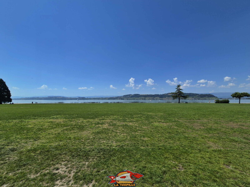 La grande zone de pelouse de la place de loisirs Pantschau. Freizeitwiese Pantschau beim Hafen in Murten