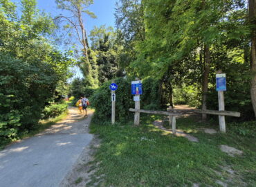 🏃 Parcours Vita – Salavaux (VD)