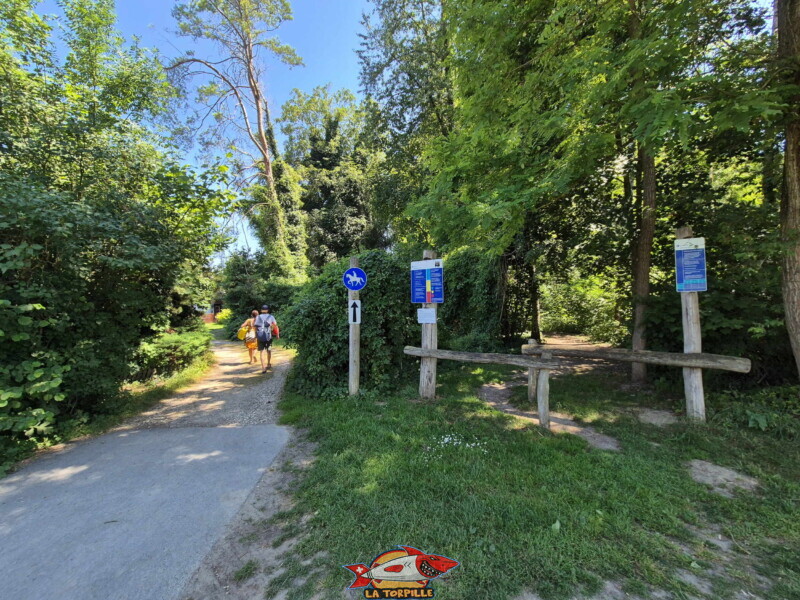 Le parcours Vita de Salavaux se trouve en bordure de la plage.