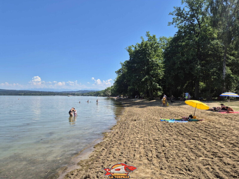 Les photos de zone ouest de plage de Salavaux. Plage de Salavaux, Vully-les-Lacs, Lac de Morat.