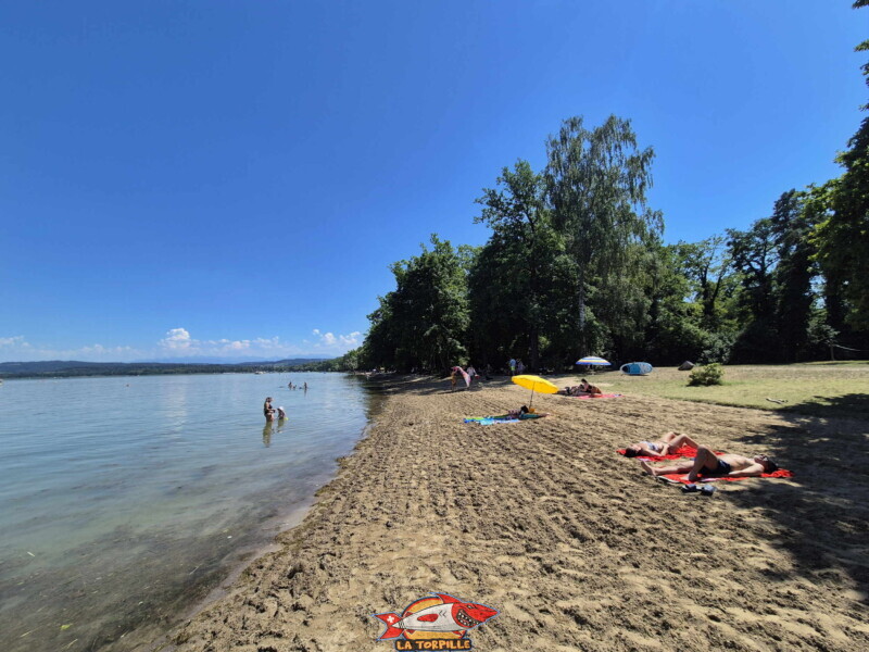La pelouse sur la droite. Plage de Salavaux, Vully-les-Lacs, Lac de Morat.