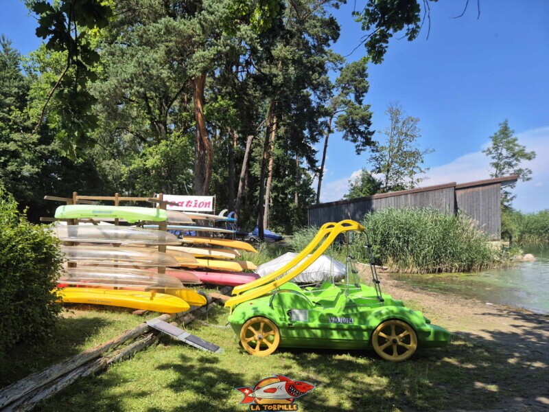 Canoë-Kayak Salavaux. Plage de Salavaux, Vully-les-Lacs, Lac de Morat.