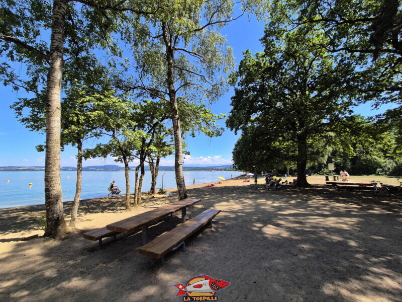 Canoë-Kayak Salavaux. Plage de Salavaux, Vully-les-Lacs, Lac de Morat.