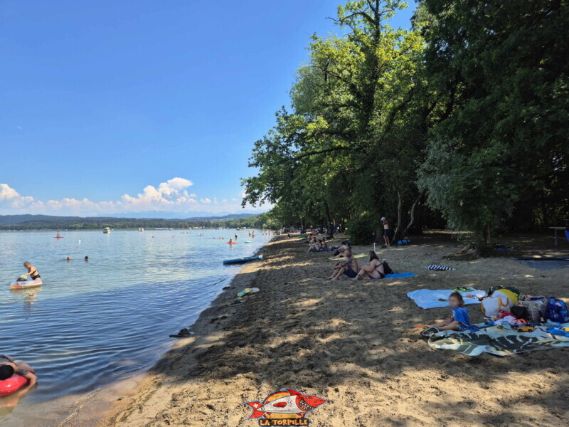 Les photos de la zone est de la plage de Salavaux. Plage de Salavaux, Vully-les-Lacs, Lac de Morat.