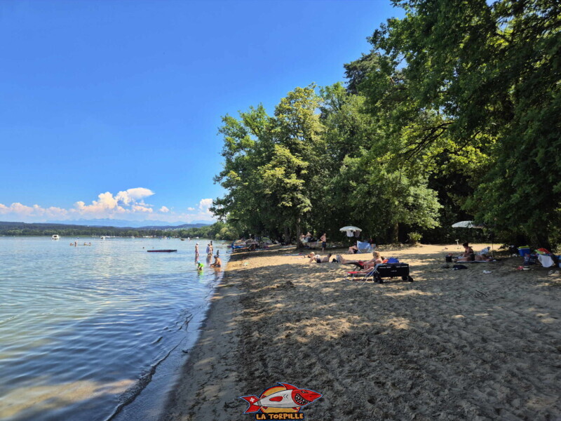  Plage de Salavaux, Vully-les-Lacs, Lac de Morat.