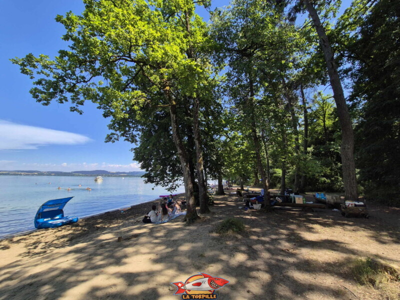 Les photos de la zone est de la plage de Salavaux. Plage de Salavaux, Vully-les-Lacs, Lac de Morat.