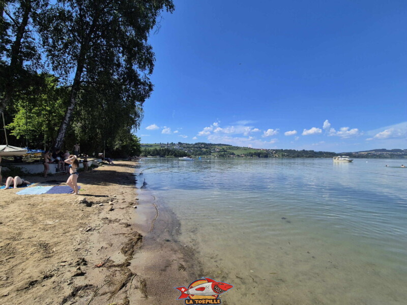 Les photos de la zone est de la plage de Salavaux. Plage de Salavaux, Vully-les-Lacs, Lac de Morat.