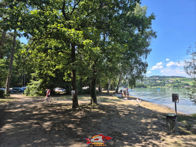 Les photos de la zone est de la plage de Salavaux. Plage de Salavaux, Vully-les-Lacs, Lac de Morat.