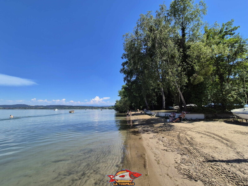 Les photos de la zone est de la plage de Salavaux. Plage de Salavaux, Vully-les-Lacs, Lac de Morat.