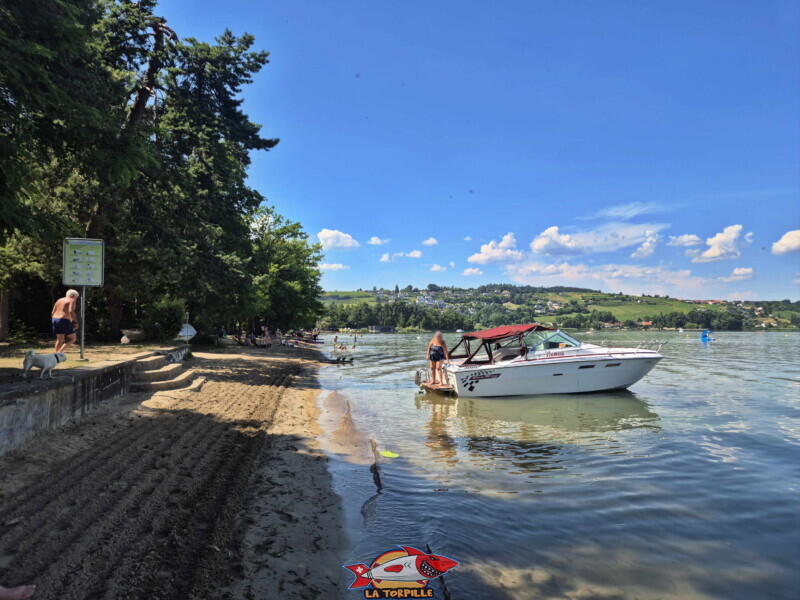 Les photos de la zone est de la plage de Salavaux. Plage de Salavaux, Vully-les-Lacs, Lac de Morat.