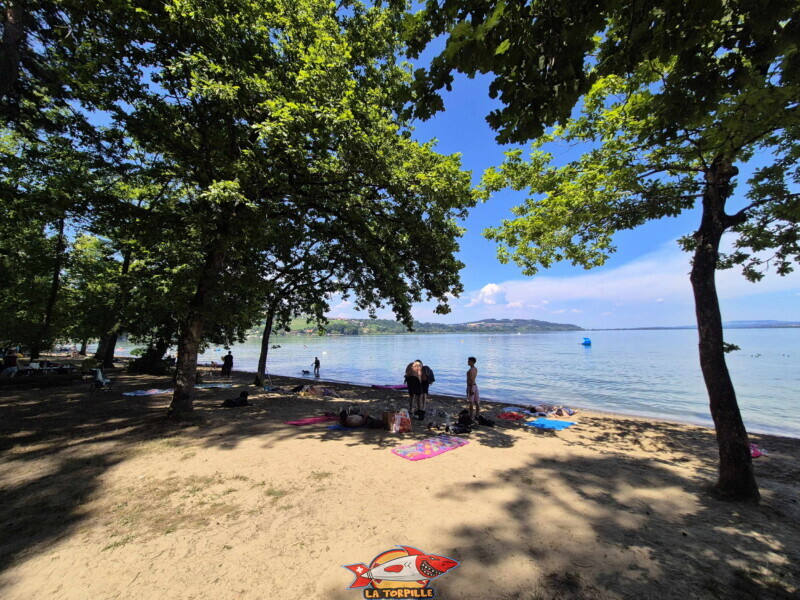 Les photos de la zone est de la plage de Salavaux. Plage de Salavaux, Vully-les-Lacs, Lac de Morat.