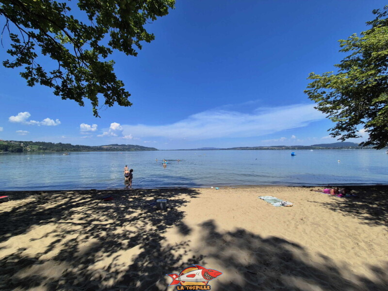 Les photos de la zone est de la plage de Salavaux. Plage de Salavaux, Vully-les-Lacs, Lac de Morat.