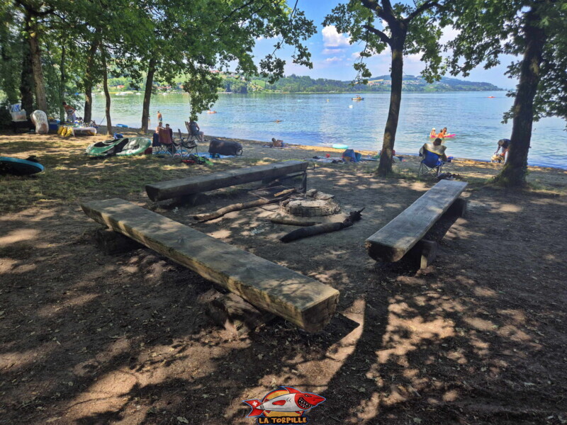 Un très joli coin grillade dans la zone boisée, à côté de la plage. Plage de Salavaux, Vully-les-Lacs, Lac de Morat.