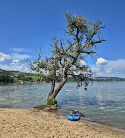 🏖️🌊 Plage de Salavaux – Paddle, Pédalo, Kayak