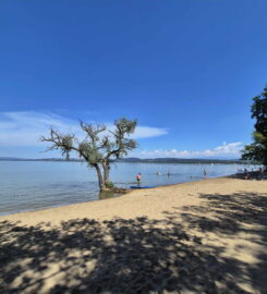 🏖️🌊 Plage de Salavaux – Paddle, Pédalo, Kayak
