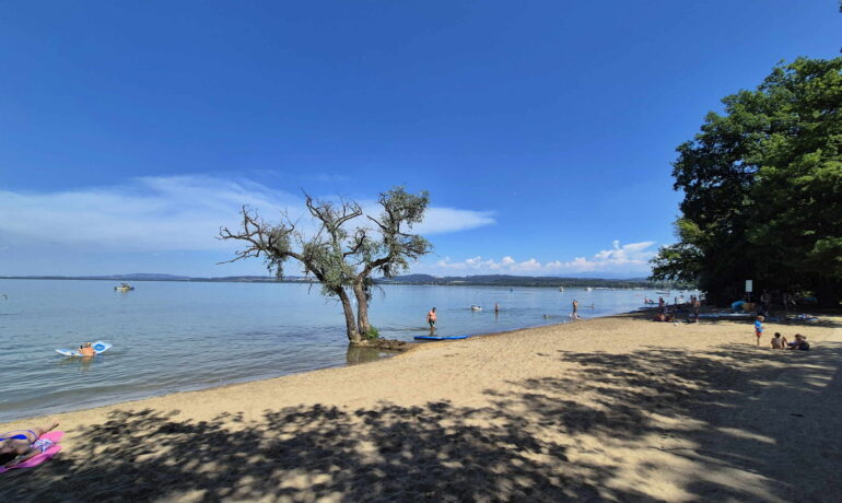 🏖️🌊 Plage de Salavaux – Paddle, Pédalo, Kayak