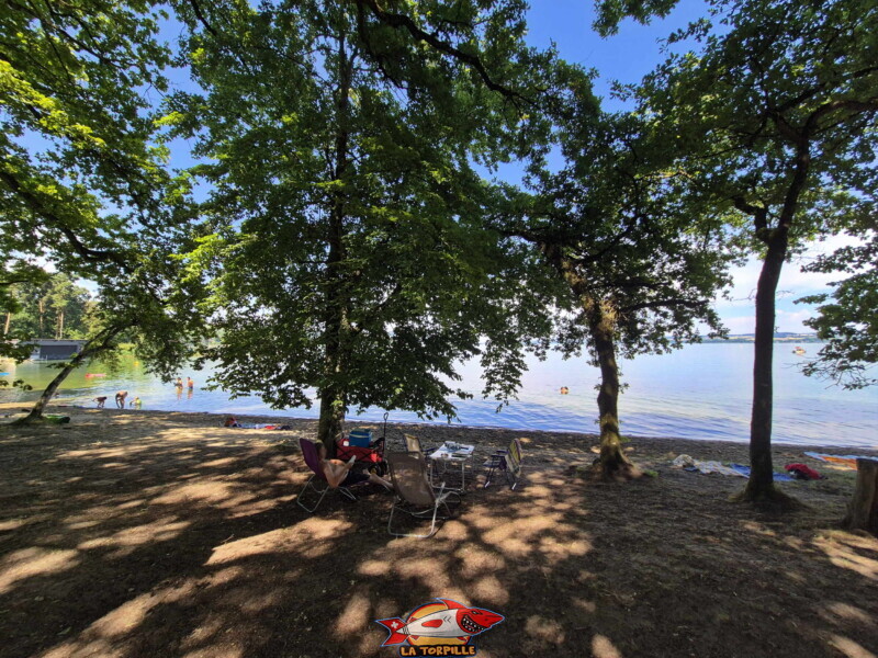 Les photos de zone ouest de plage de Salavaux. Plage de Salavaux, Vully-les-Lacs, Lac de Morat.