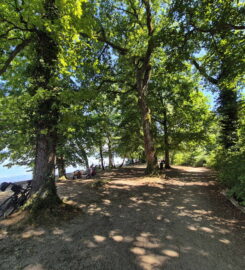 🏖️🌊 Plage de Salavaux – Paddle, Pédalo, Kayak