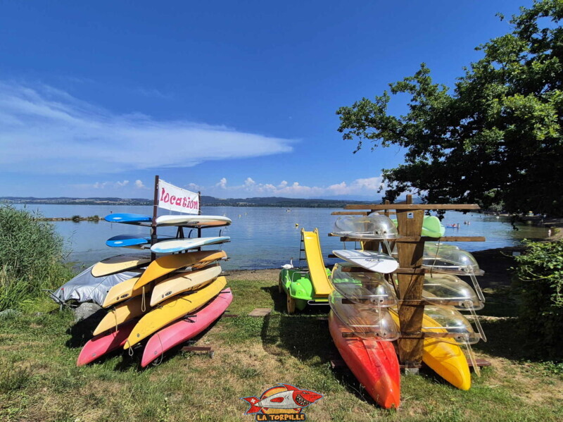 La location de kayak à la plage de Salavaux. Plage de Salavaux, Vully-les-Lacs, Lac de Morat.