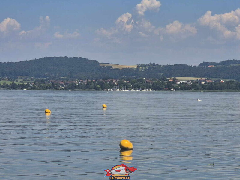 Le zoom sur la plage d'Avenches à gauche du port d'Avenches. Plage de Salavaux, Vully-les-Lacs, Lac de Morat.