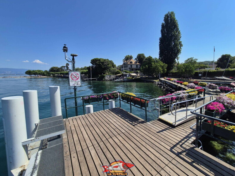 débarcadère d'Hermance. Plage d'Hermance. Canton de Genève.