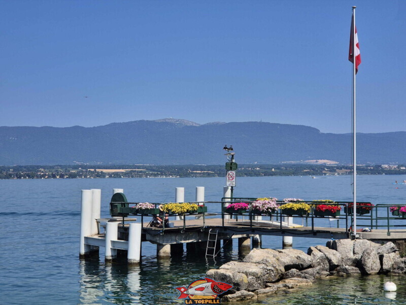 Le débarcadère d'Hermance depuis le rivage.