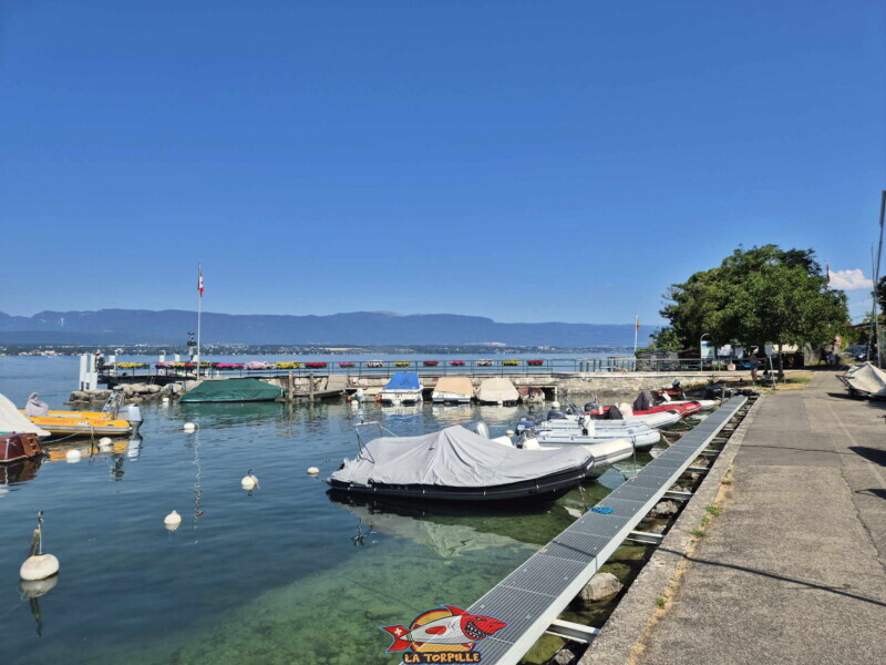 Le débarcadère d'Hermance depuis le rivage.