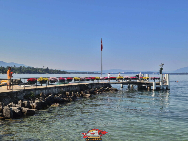 Le débarcadère d'Hermance depuis le rivage.