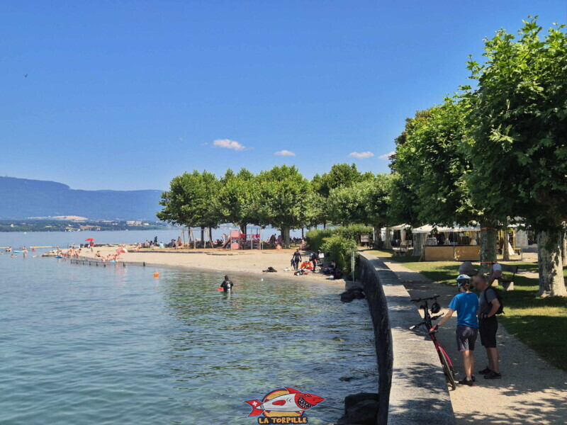 Quai d'Hermance. Plage d'Hermance. Canton de Genève.