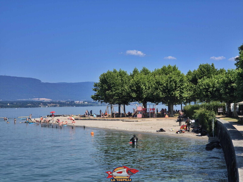 La plage depuis le quai d'Hermance.Plage d'Hermance. Canton de Genève. La plage depuis le quai d'Hermance. Plage d'Hermance. Canton de Genève.