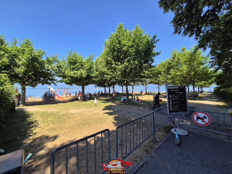 Entrée. Plage d'Hermance. Canton de Genève.