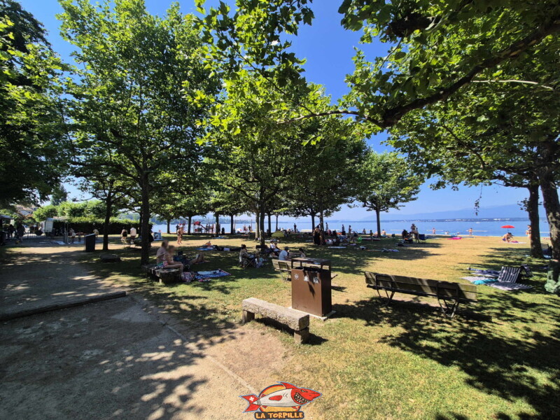 Pelouse. Plage d'Hermance. Canton de Genève.