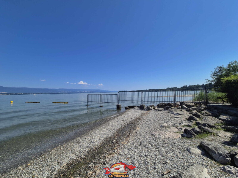 La zone de galets au nord-est de la digue en pierre. Plage d'Hermance. Canton de Genève. L'extrémité nord de la plage d'Hermance. Derrière le grillage, l'embouchure de la rivière Hermance dans le Léman. Cette rivière marque la frontière avec la France. La zone de galets au nord-est de la digue en pierre. Plage d'Hermance. Canton de Genève. L'extrémité nord de la plage d'Hermance. Derrière le grillage, l'embouchure de la rivière Hermance dans le Léman. Cette rivière marque la frontière avec la France.