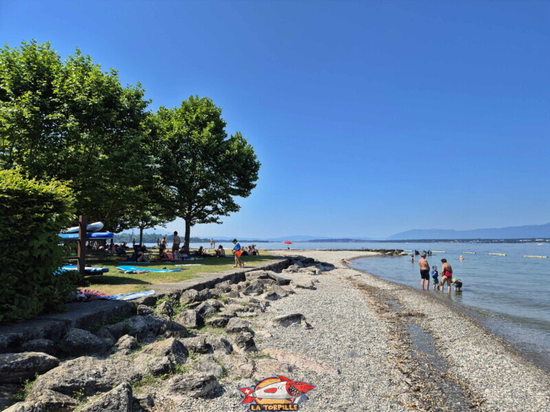 La zone de galets au nord-est de la digue en pierre. Plage d'Hermance. Canton de Genève.