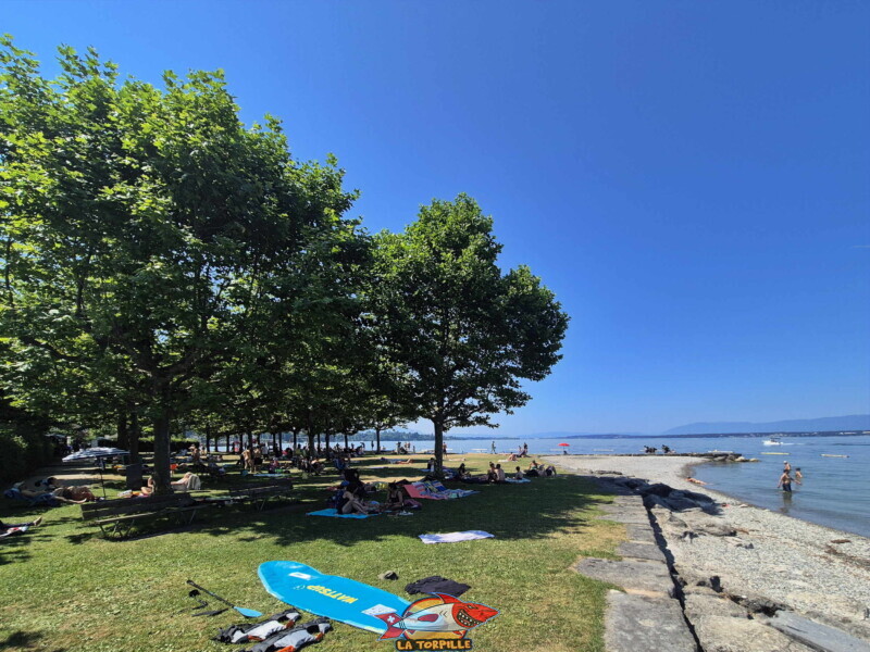 Pelouse. Plage d'Hermance. Canton de Genève.