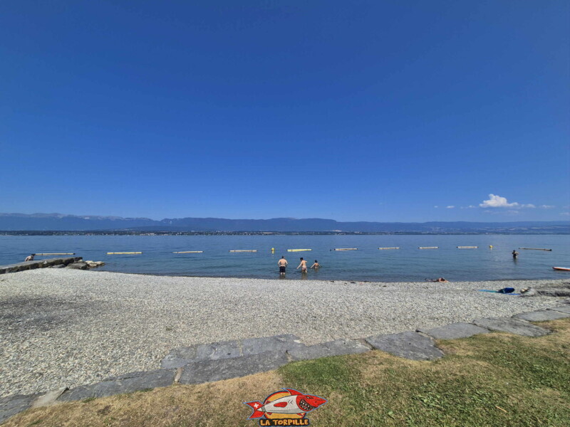 La zone de galets au nord-est de la digue en pierre. Plage d'Hermance. Canton de Genève.