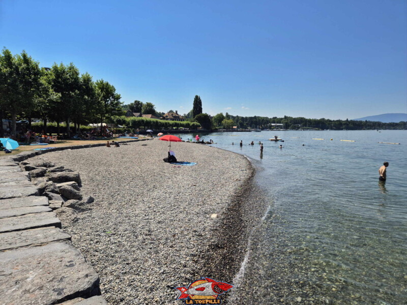 La zone de galets au sud de la digue en pierre. Plage d'Hermance. Canton de Genève.