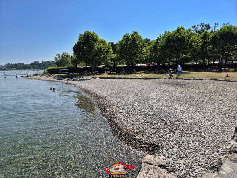 La zone de galets au nord-est de la digue en pierre. Plage d'Hermance. Canton de Genève.