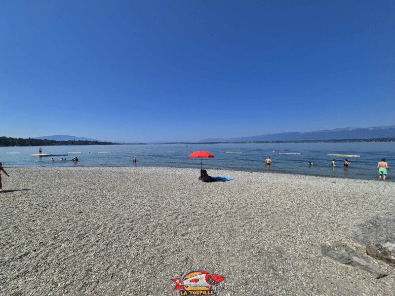 La zone de galets au sud de la digue en pierre. Plage d'Hermance. Canton de Genève.