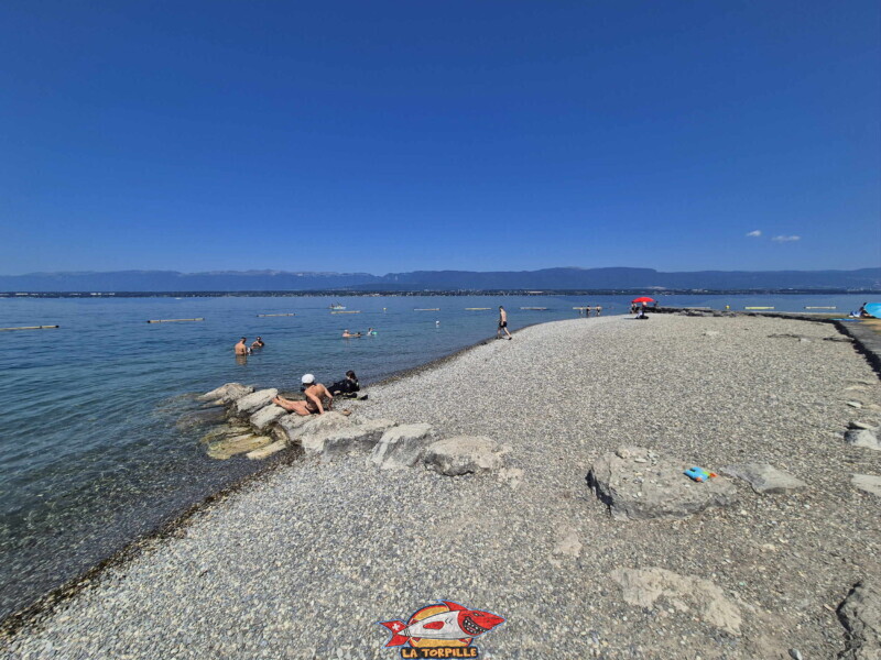 La zone de galets au sud de la digue en pierre. Plage d'Hermance. Canton de Genève.