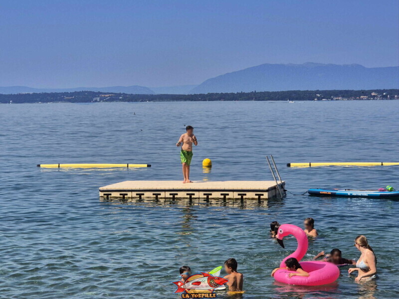 Zone de baignade. Le radeau. Plage d'Hermance. Canton de Genève.
