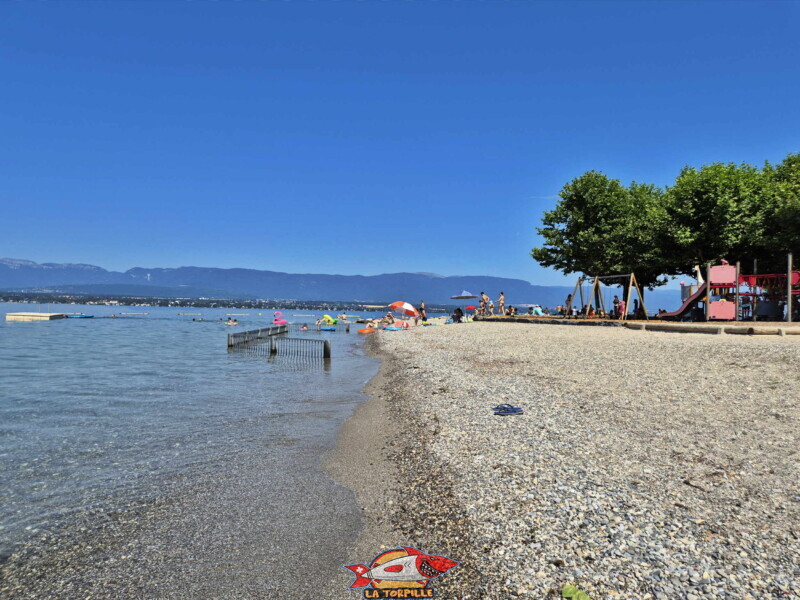La zone de galets au sud de la digue en pierre. Plage d'Hermance. Canton de Genève.