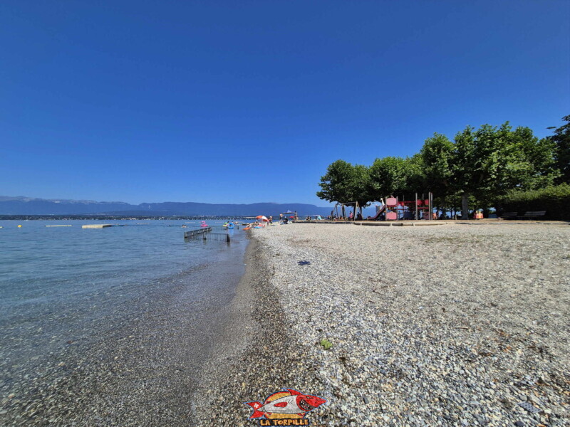 La plage de galets. Plage d'Hermance. Canton de Genève.