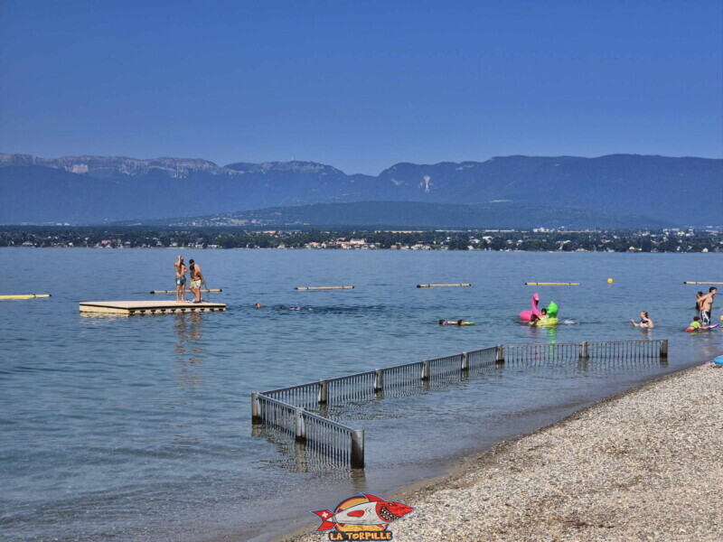 La zone de galets au sud de la digue en pierre. La zone reservée aux petits. Plage d'Hermance. Canton de Genève.