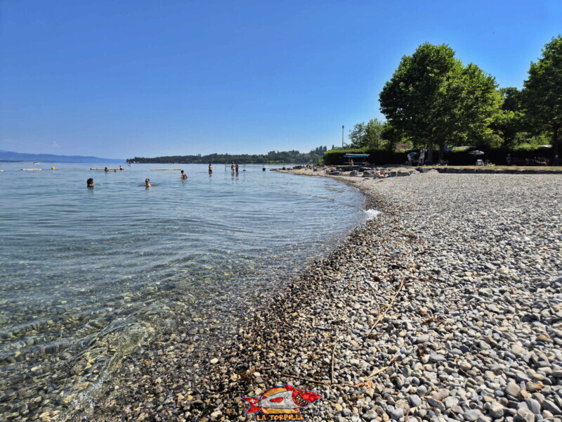 La zone de galets au sud de la digue en pierre. Plage d'Hermance. Canton de Genève.