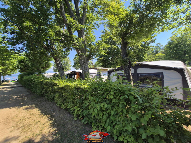 Le camping depuis la plage d'Hermance. Le camping depuis la plage d'Hermance. Plage d'Hermance. Canton de Genève.
